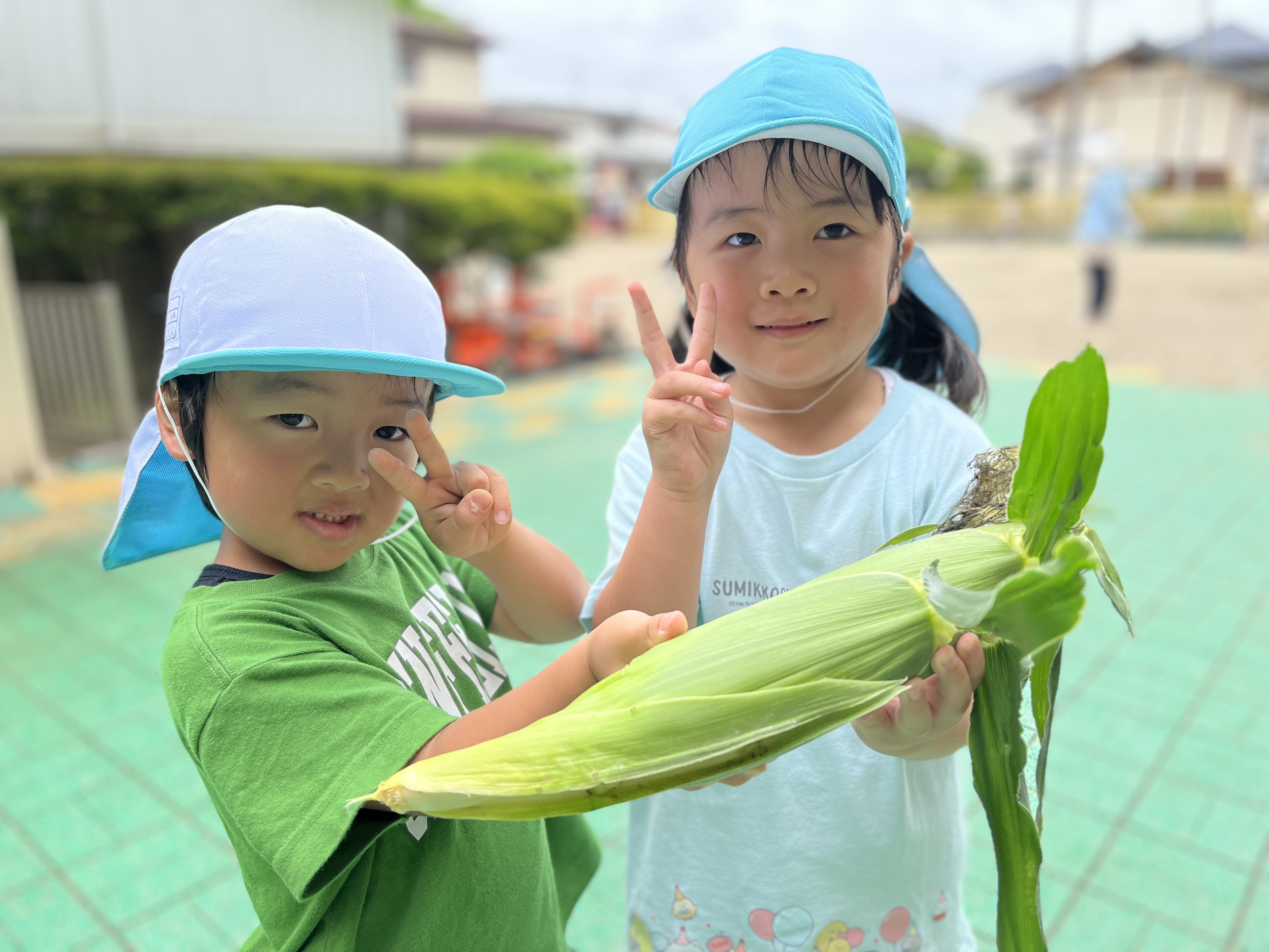 真宗大谷派宝林寺 認定こども園若竹幼稚園 写真